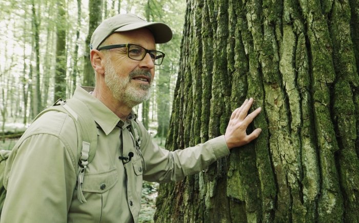 Bild-ID: Baum (Jörg Adolph)  © 2019 Constantin Film Verleih GmbH  Peter Wohlleben, Förster und erfolgreicher Buchautor