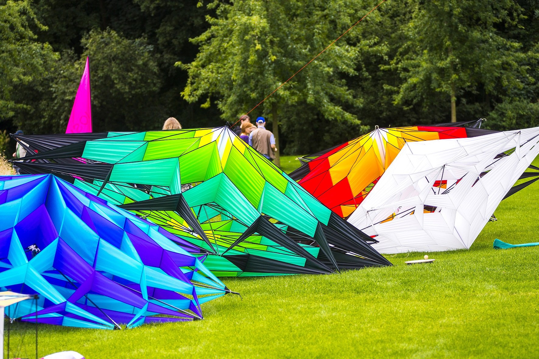 Die Wiesen des Maxiparks an den Drachentagen (Foto: Tho rsten Hübner, Maxipark)