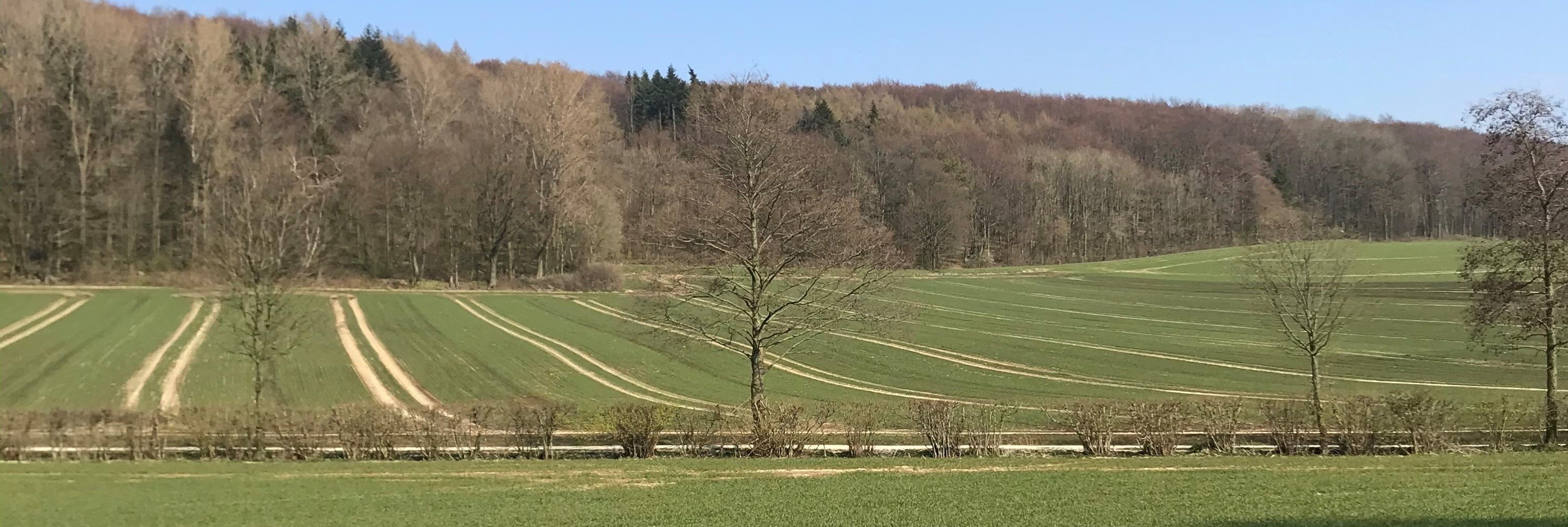 Die Baumberge im Kreis Coesfeld © Bezirksregierung Münster