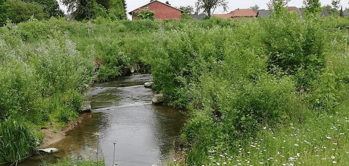 Metelener Heide © Steinfurt Marketing und Touristik e.V.