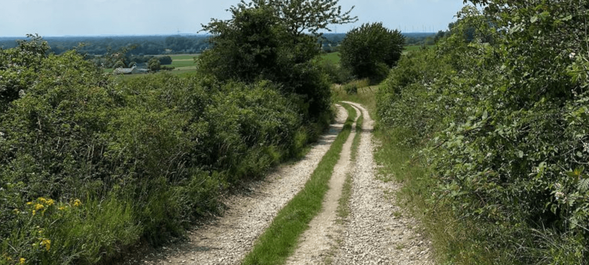 Der Tecklenburger Bergpfad © Bezirksregierung Münster