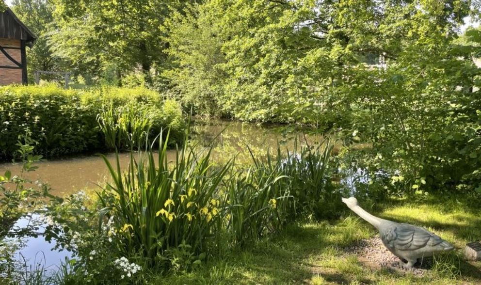 Mühlenhof Idylle  Foto von stadt40