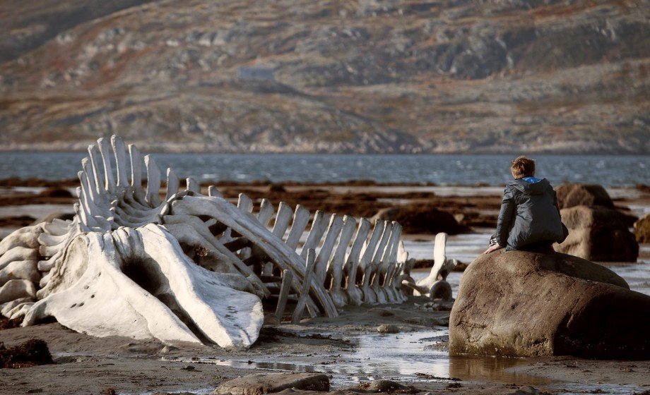 Szene aus dem Film Leviathan/ Filmclub Münster