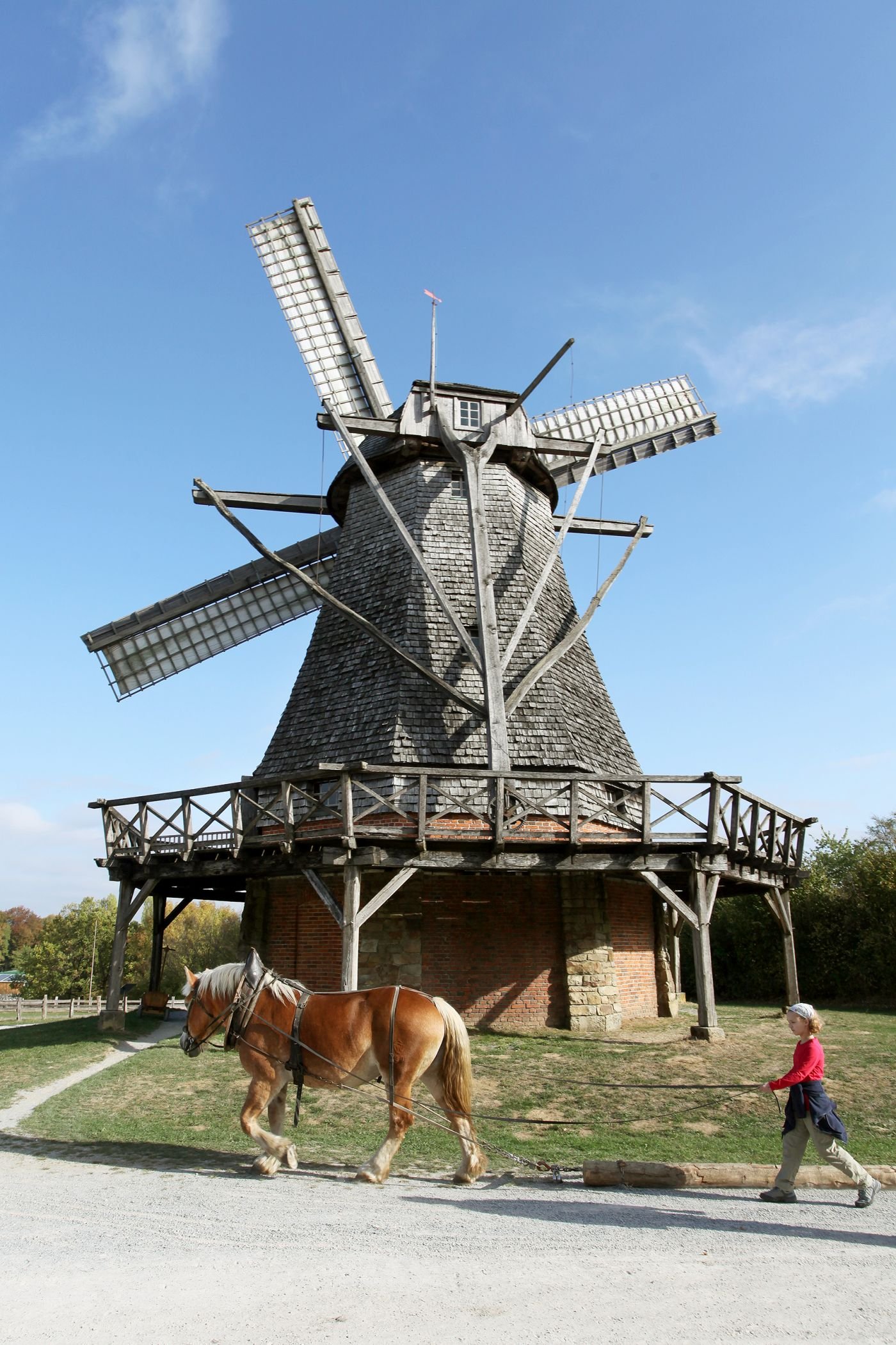 Beim Holzrücken lernen Interessierte im LWL-Freilichtmuseum Detmold den Umgang mit Kaltblutpferden./LWL