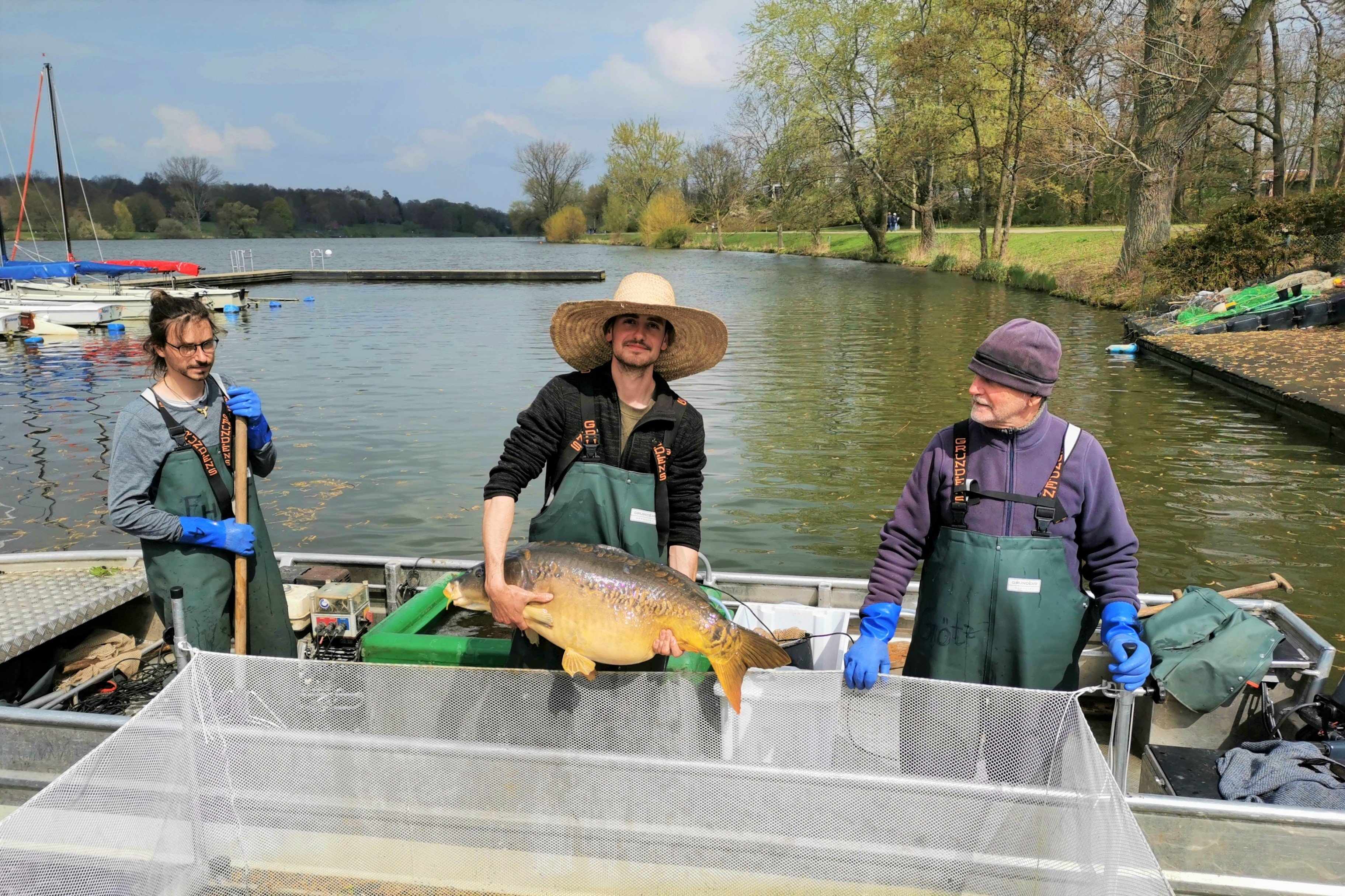 Die Fischerfamilie Kuhn hilft, den Fischbestand im Aasee im Gleichgewicht zu halten. / Stadt Münster; Lutz Hirschmann.