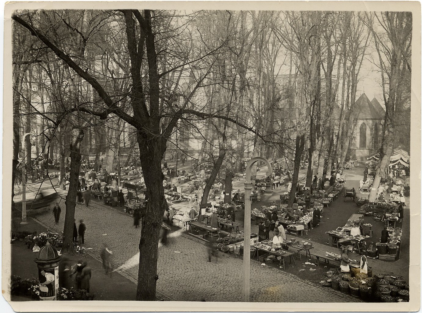 Der Domplatz im Wandel der Jahrzehnte. Historische Aufnahmen vom Domplatz aus den 1930iger Jahren / Stadtarchiv Münste