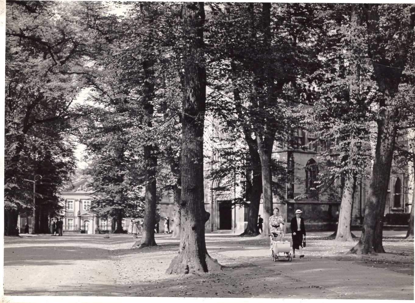 Der Domplatz im Wandel der Jahrzehnte. Historische Aufnahmen vom Domplatz aus den 1930iger Jahren / Stadtarchiv Münste