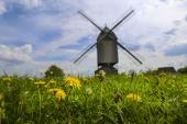 Das LWL-Freilichtmuseum Detmold zieht ein positives Fazit der Saison.Foto: LWL/Gerstendorf-Welle