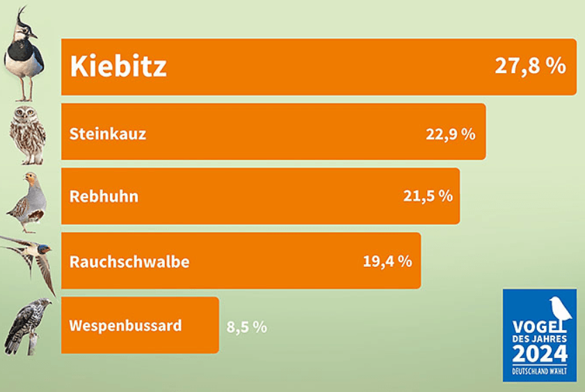 Vogel des Jahres 2024: die Ergebnisse im Überblick - Grafik: NABU  Vogel des Jahres 2024: die Ergebnisse im Überblick - Grafik: NABU